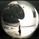 A hidden camera is set up in the bathroom at a vet office. We can observe four scenes of women pooping and peeing on the toilet. There is audio, but the bathroom is rather noisy.